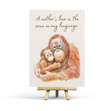 Lade das Bild in den Galerie-Viewer, Tropical Jungle Bundle - 12 products