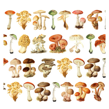 Lade das Bild in den Galerie-Viewer, Mushrooms - PET Tape PRE-CUT
