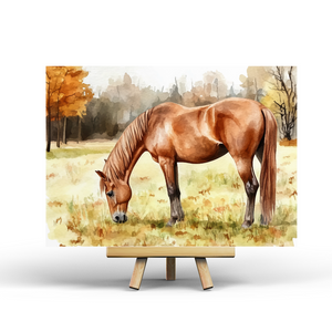 Horse - Postcard