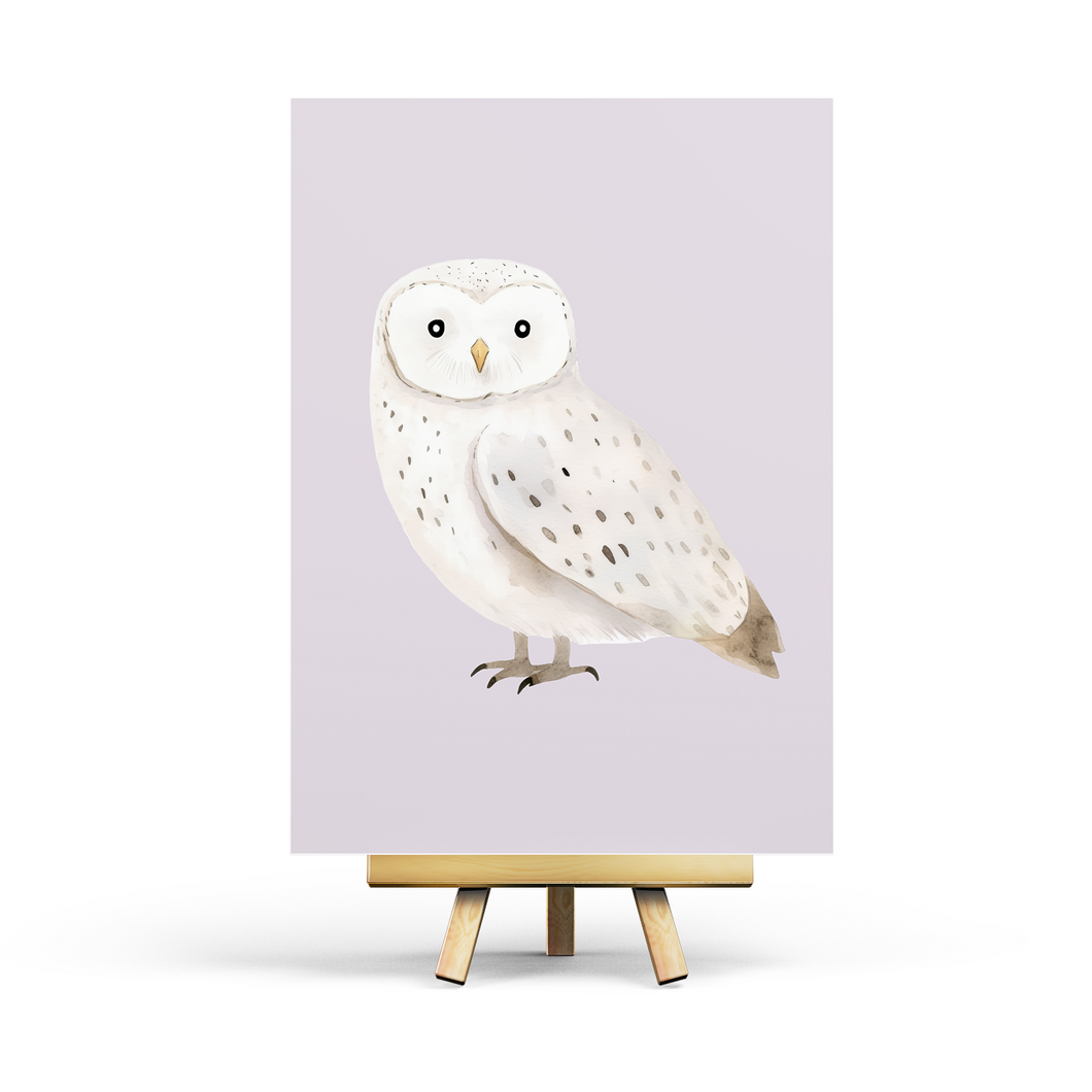 White Owl - Postcard