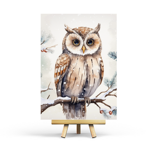 Owl - Postcard