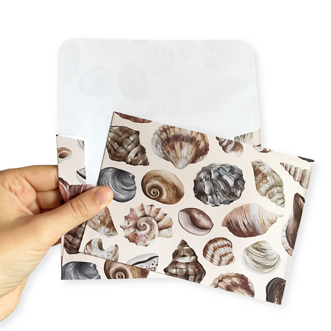 Seashells - Envelope